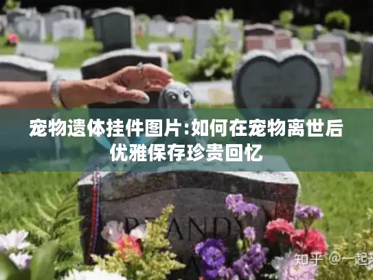宠物遗体挂件图片:如何在宠物离世后优雅保存珍贵回忆