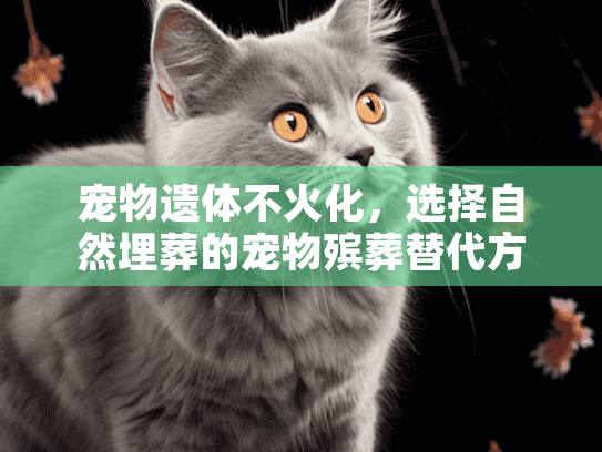 宠物遗体不火化，选择自然埋葬的宠物殡葬替代方案是否适合你？