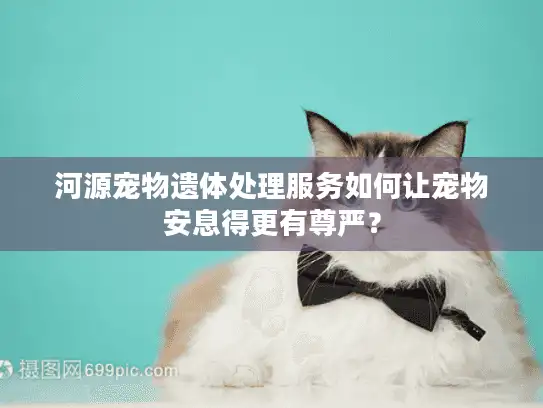 河源宠物遗体处理服务如何让宠物安息得更有尊严？