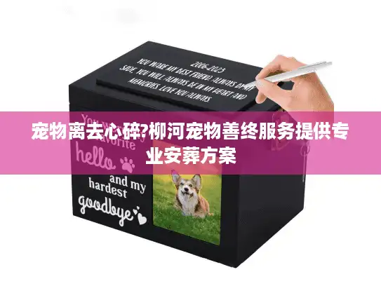 宠物离去心碎?柳河宠物善终服务提供专业安葬方案 宠物离去心碎?柳河宠物善终服务提供专业安葬方案