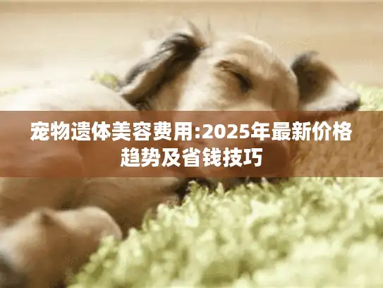 宠物遗体美容费用:2025年最新价格趋势及省钱技巧