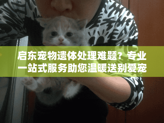 启东宠物遗体处理难题?专业一站式服务助您温暖送别爱宠 启东宠物遗体处理难题?专业一站式服务助您温暖送别爱宠