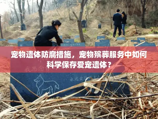 宠物遗体防腐措施，宠物殡葬服务中如何科学保存爱宠遗体？