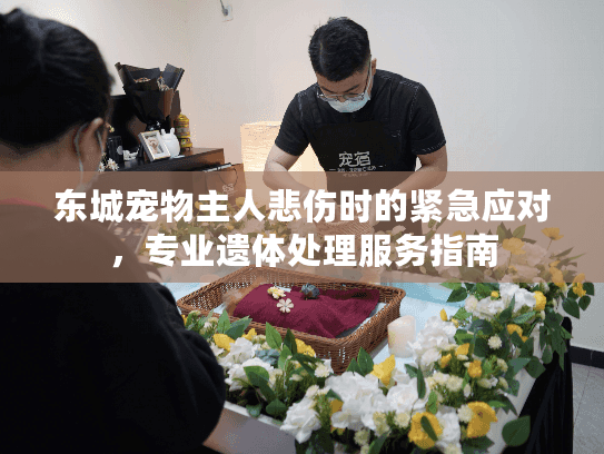 东城宠物主人悲伤时的紧急应对,专业遗体处理服务指南 东城宠物主人悲伤时的紧急应对,专业遗体处理服务指南