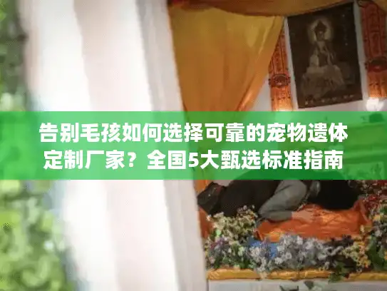 告别毛孩如何选择可靠的宠物遗体定制厂家？全国5大甄选标准指南