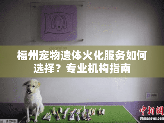福州宠物遗体火化服务如何选择？专业机构指南