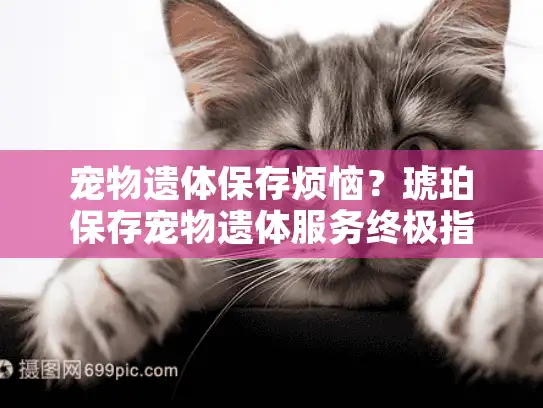 宠物遗体保存烦恼？琥珀保存宠物遗体服务终极指南！