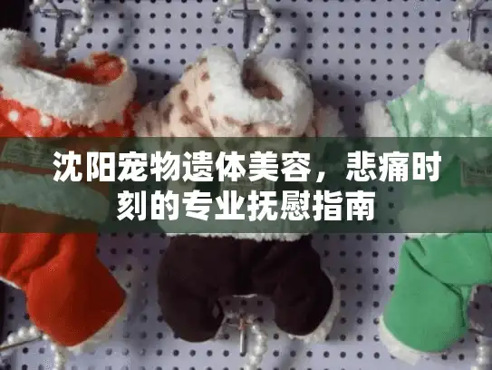 沈阳宠物遗体美容，悲痛时刻的专业抚慰指南