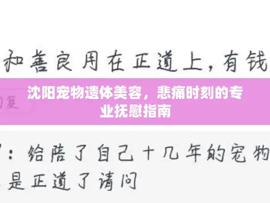沈阳宠物遗体美容，悲痛时刻的专业抚慰指南