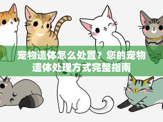 宠物遗体怎么处置？您的宠物遗体处理方式完整指南