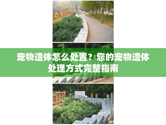 宠物遗体怎么处置？您的宠物遗体处理方式完整指南