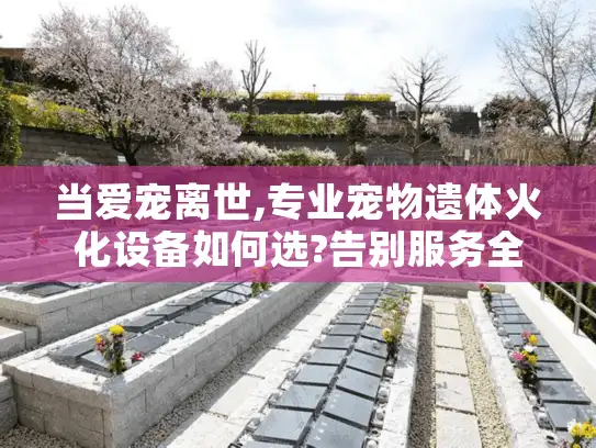 当爱宠离世,专业宠物遗体火化设备如何选?告别服务全解析