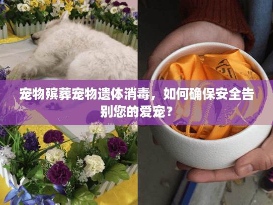 宠物殡葬宠物遗体消毒，如何确保安全告别您的爱宠？
