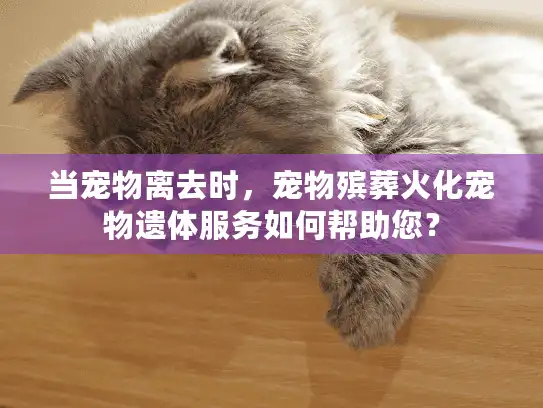 当宠物离去时，宠物殡葬火化宠物遗体服务如何帮助您？