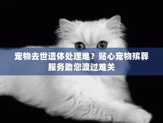 宠物去世遗体处理难?贴心宠物殡葬服务助您渡过难关 宠物去世遗体处理难?贴心宠物殡葬服务助您渡过难关