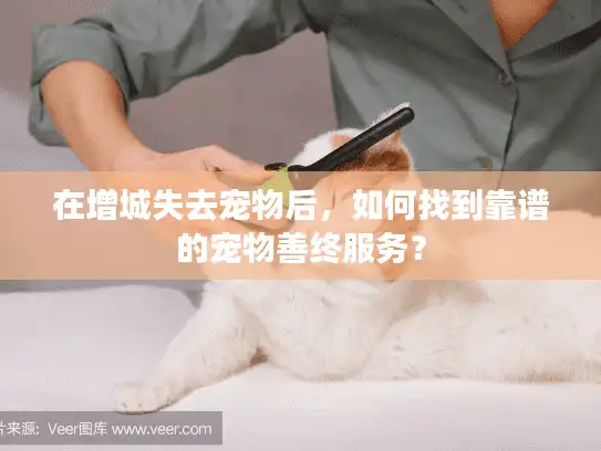 在增城失去宠物后，如何找到靠谱的宠物善终服务？