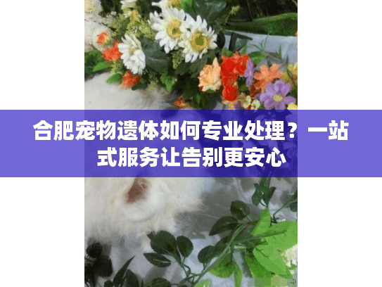 合肥宠物遗体如何专业处理?一站式服务让告别更安心 合肥宠物遗体如何专业处理?一站式服务让告别更安心