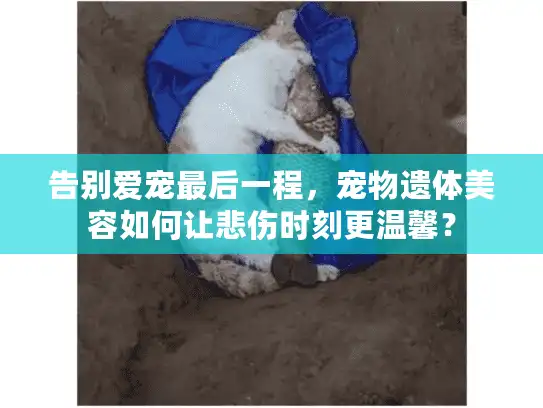 告别爱宠最后一程,宠物遗体美容如何让悲伤时刻更温馨? 告别爱宠最后一程,宠物遗体美容如何让悲伤时刻更温馨?