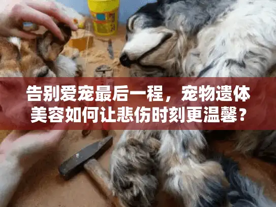 告别爱宠最后一程,宠物遗体美容如何让悲伤时刻更温馨? 告别爱宠最后一程,宠物遗体美容如何让悲伤时刻更温馨?