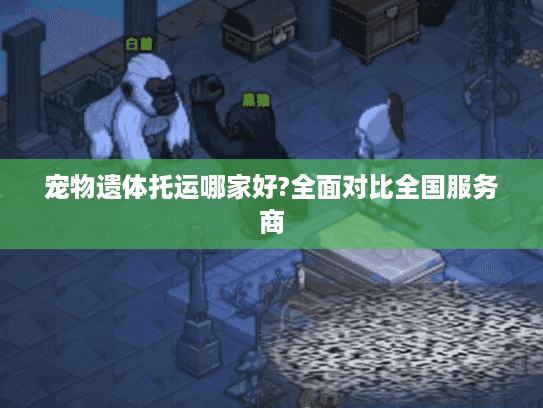 宠物遗体托运哪家好?全面对比全国服务商