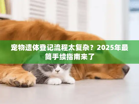 宠物遗体登记流程太复杂？2025年最简手续指南来了