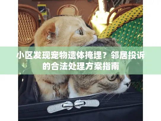小区发现宠物遗体掩埋？邻居投诉的合法处理方案指南