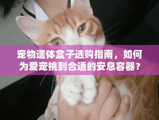 宠物遗体盒子选购指南，如何为爱宠挑到合适的安息容器？