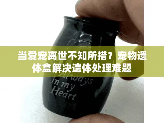 当爱宠离世不知所措?宠物遗体盒解决遗体处理难题 当爱宠离世不知所措?宠物遗体盒解决遗体处理难题