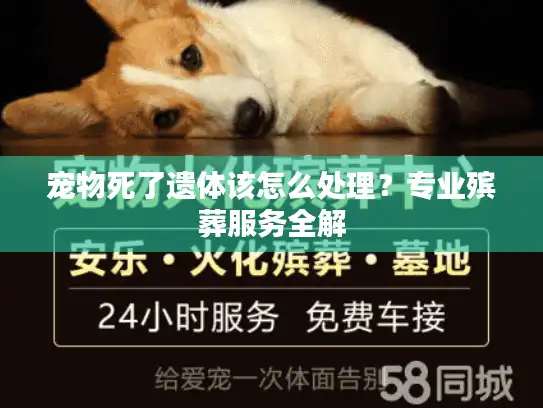 宠物死了遗体该怎么处理？专业殡葬服务全解