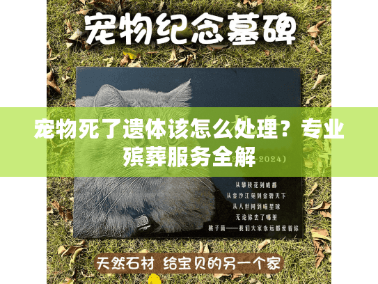 宠物死了遗体该怎么处理？专业殡葬服务全解