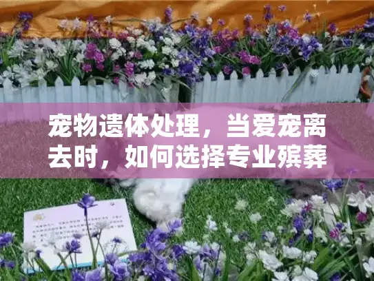 宠物遗体处理，当爱宠离去时，如何选择专业殡葬服务？