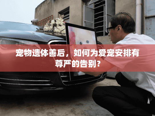 宠物遗体善后，如何为爱宠安排有尊严的告别？
