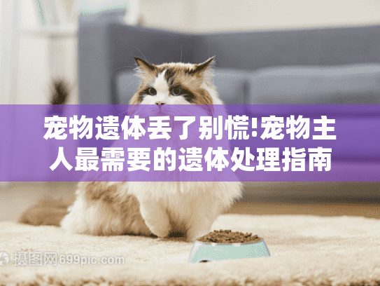 宠物遗体丢了别慌!宠物主人最需要的遗体处理指南