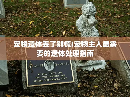 宠物遗体丢了别慌!宠物主人最需要的遗体处理指南