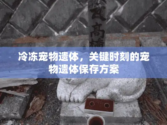 冷冻宠物遗体，关键时刻的宠物遗体保存方案