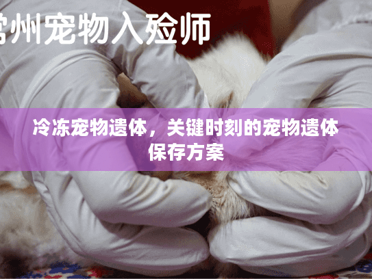 冷冻宠物遗体，关键时刻的宠物遗体保存方案