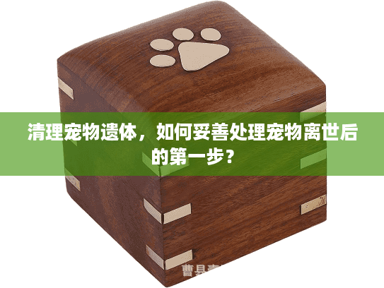 清理宠物遗体,如何妥善处理宠物离世后的第一步? 清理宠物遗体,如何妥善处理宠物离世后的第一步?