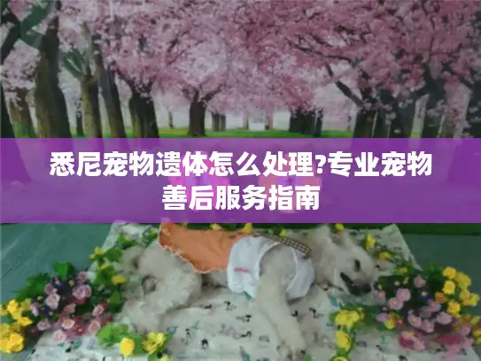 悉尼宠物遗体怎么处理?专业宠物善后服务指南 悉尼宠物遗体怎么处理?专业宠物善后服务指南
