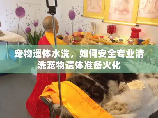 宠物遗体水洗，如何安全专业清洗宠物遗体准备火化