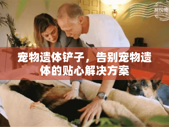 宠物遗体铲子,告别宠物遗体的贴心解决方案 宠物遗体铲子,告别宠物遗体的贴心解决方案