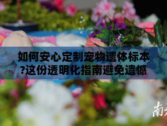 如何安心定制宠物遗体标本?这份透明化指南避免遗憾