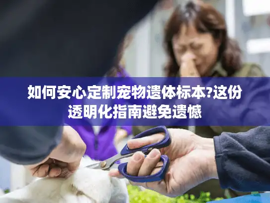 如何安心定制宠物遗体标本?这份透明化指南避免遗憾