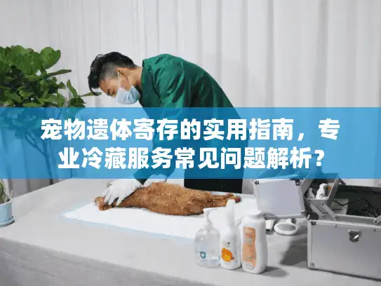 宠物遗体寄存的实用指南，专业冷藏服务常见问题解析？
