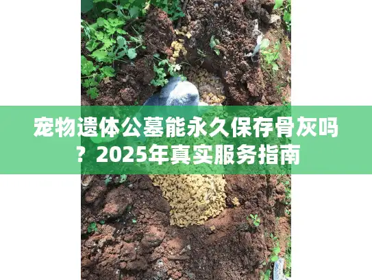 宠物遗体公墓能永久保存骨灰吗？2025年真实服务指南
