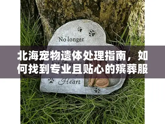 北海宠物遗体处理指南，如何找到专业且贴心的殡葬服务