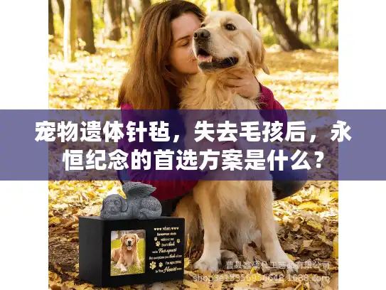宠物遗体针毡，失去毛孩后，永恒纪念的首选方案是什么？