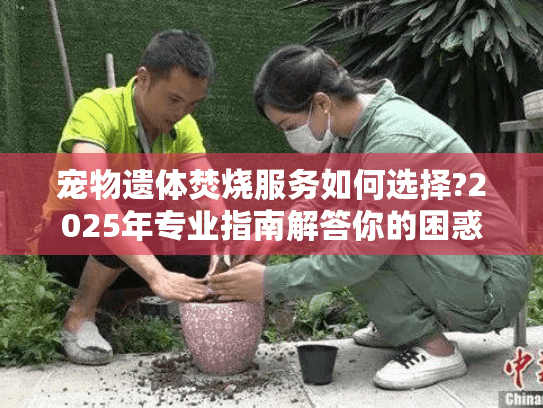 宠物遗体焚烧服务如何选择?2025年专业指南解答你的困惑 宠物遗体焚烧服务如何选择?2025年专业指南解答你的困惑