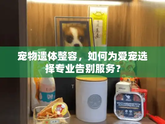 宠物遗体整容，如何为爱宠选择专业告别服务？