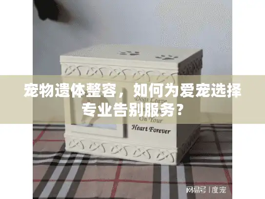 宠物遗体整容，如何为爱宠选择专业告别服务？