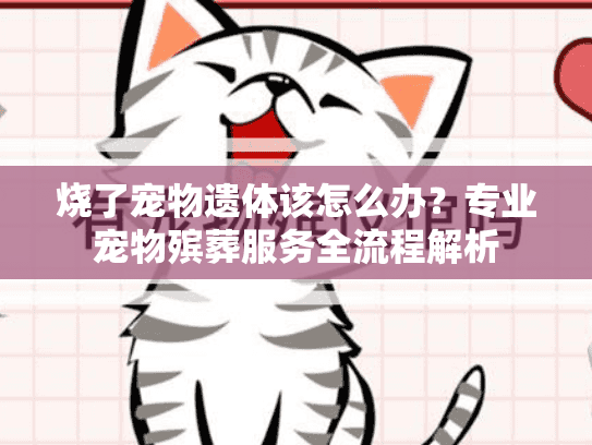 烧了宠物遗体该怎么办？专业宠物殡葬服务全流程解析